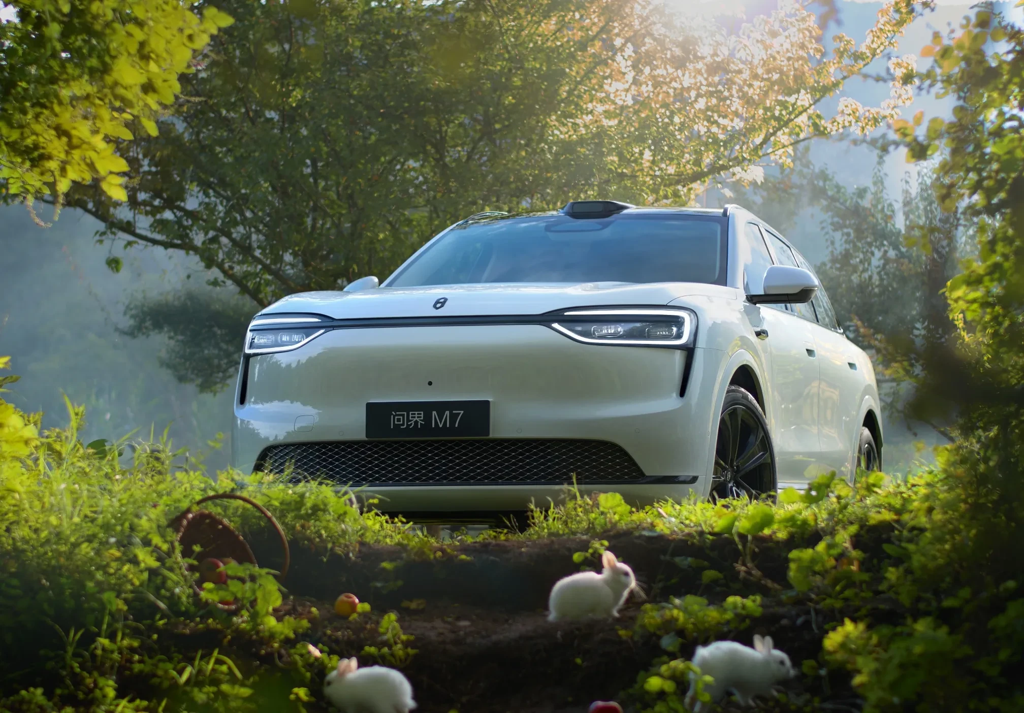 AITO M7 AWD exterior view
