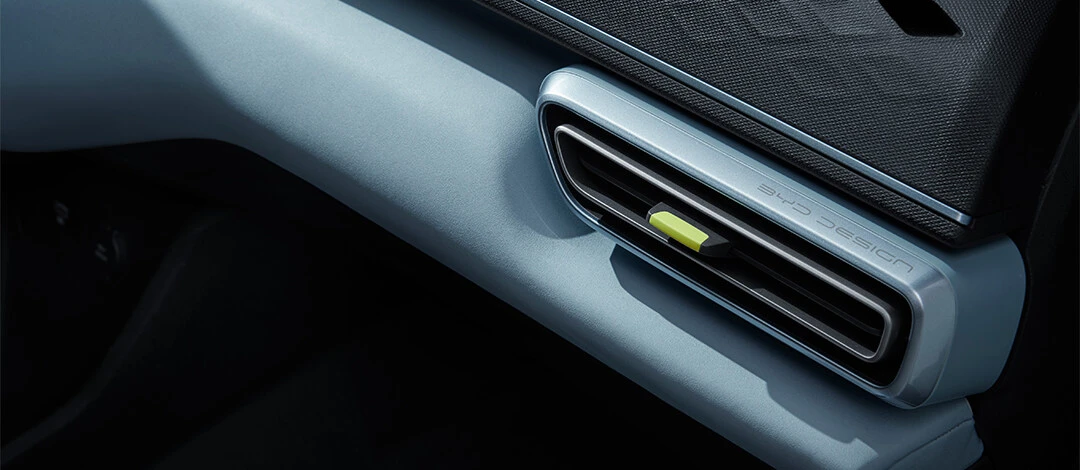 BYD Dolphin Mini GL details view