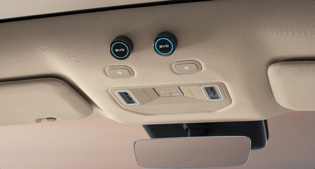 BYD Great Tang EV 950 RWD details view