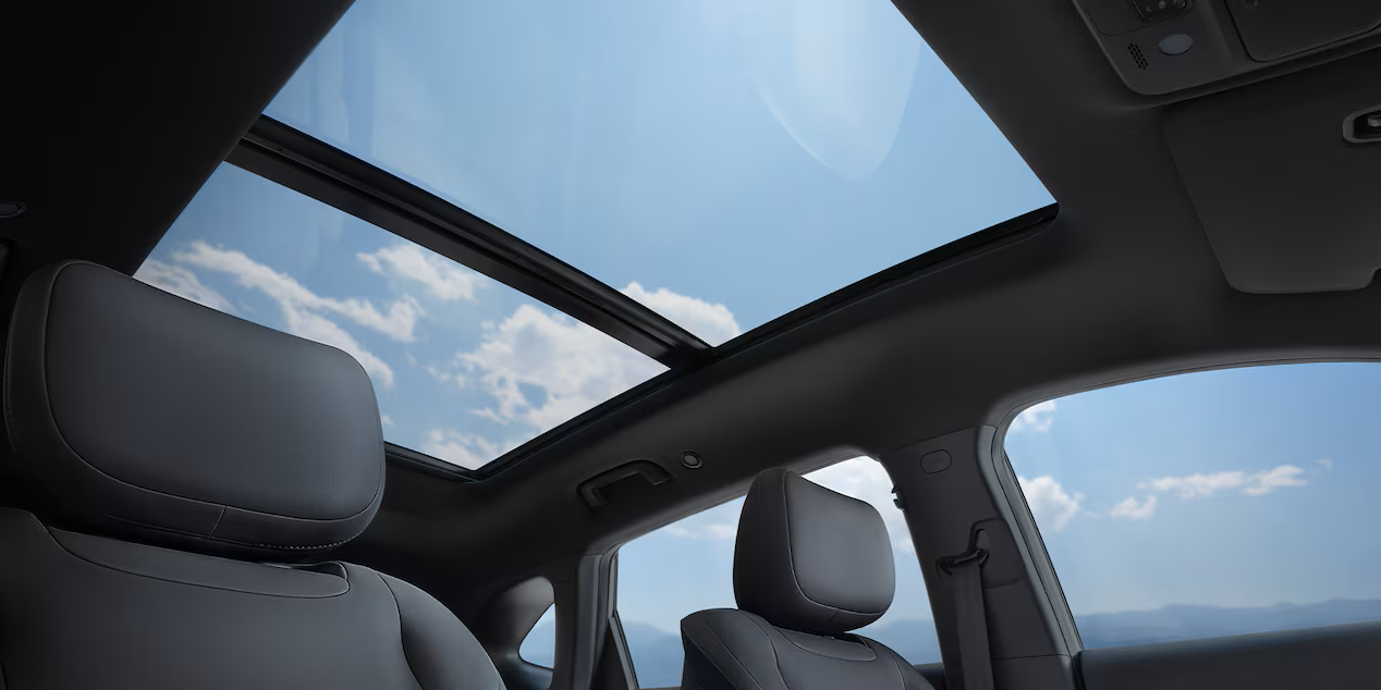 Chevrolet Captiva EV 60 kWh roof view