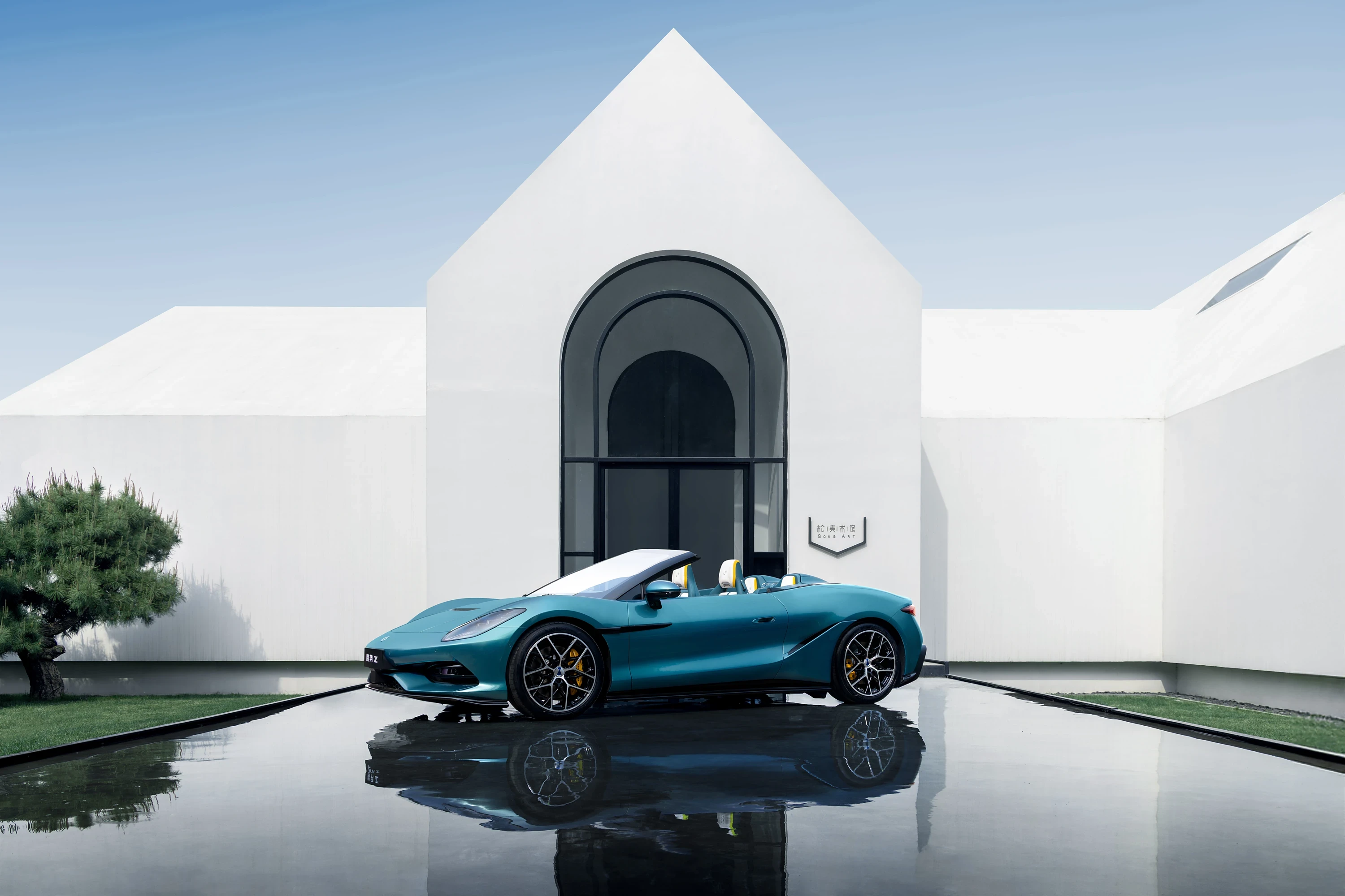 Denza Z Spider exterior view