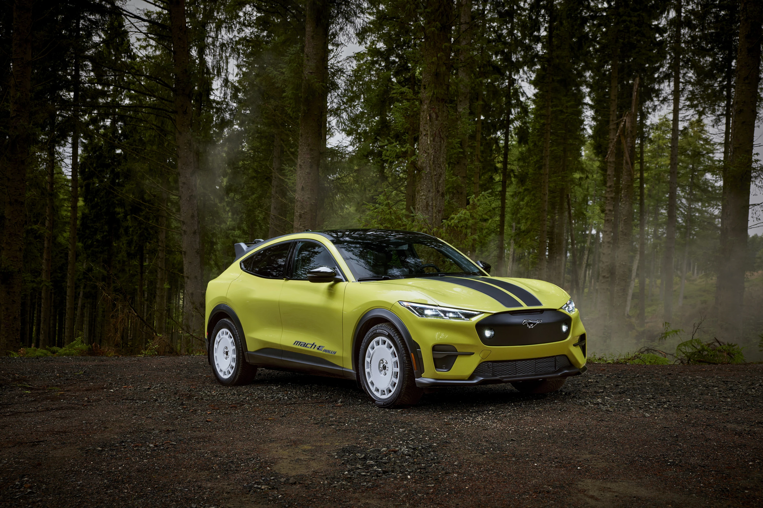 Ford Mustang Mach-E Rally electric vehicle