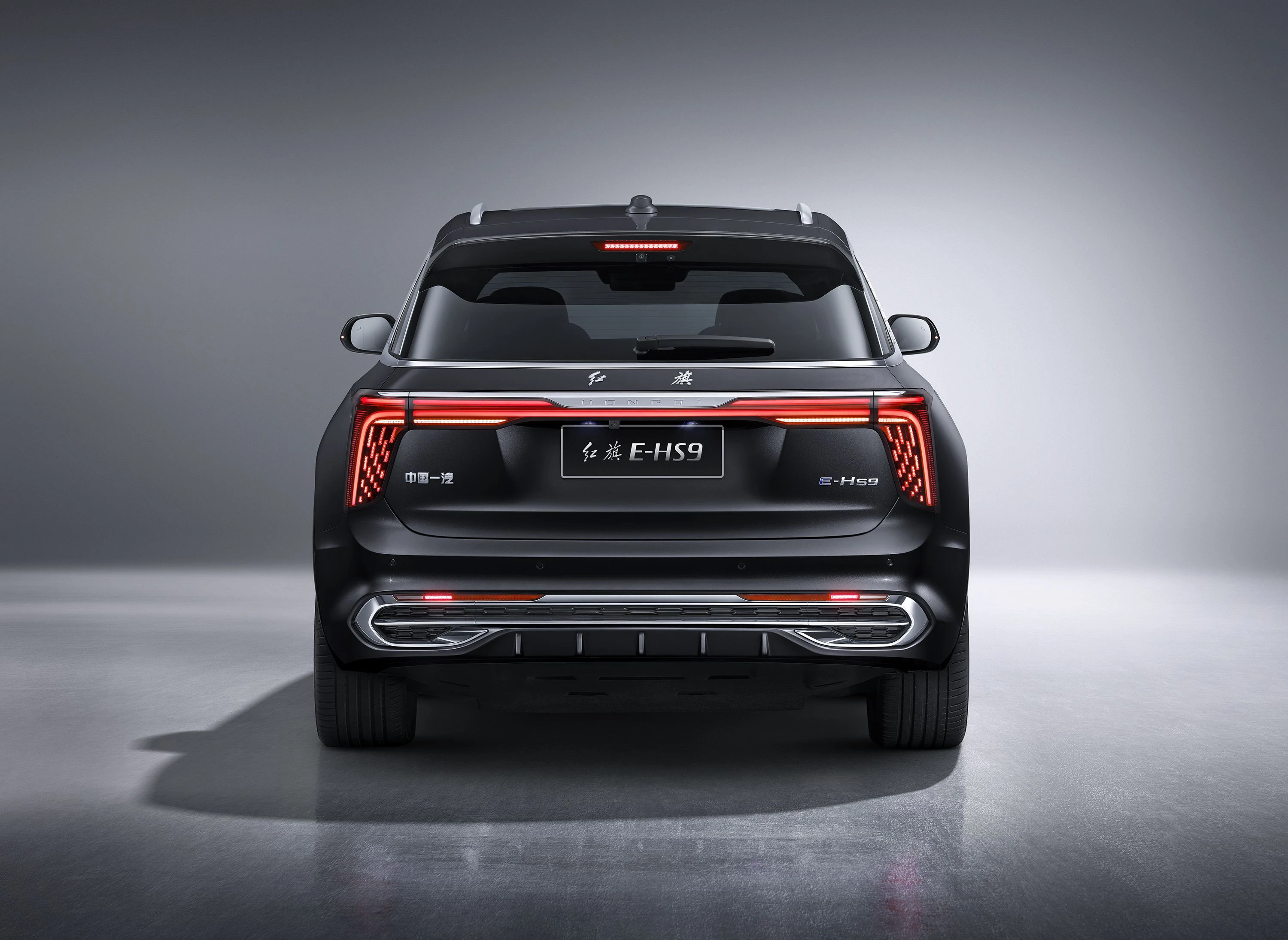Hongqi E-HS9 Comfort exterior view