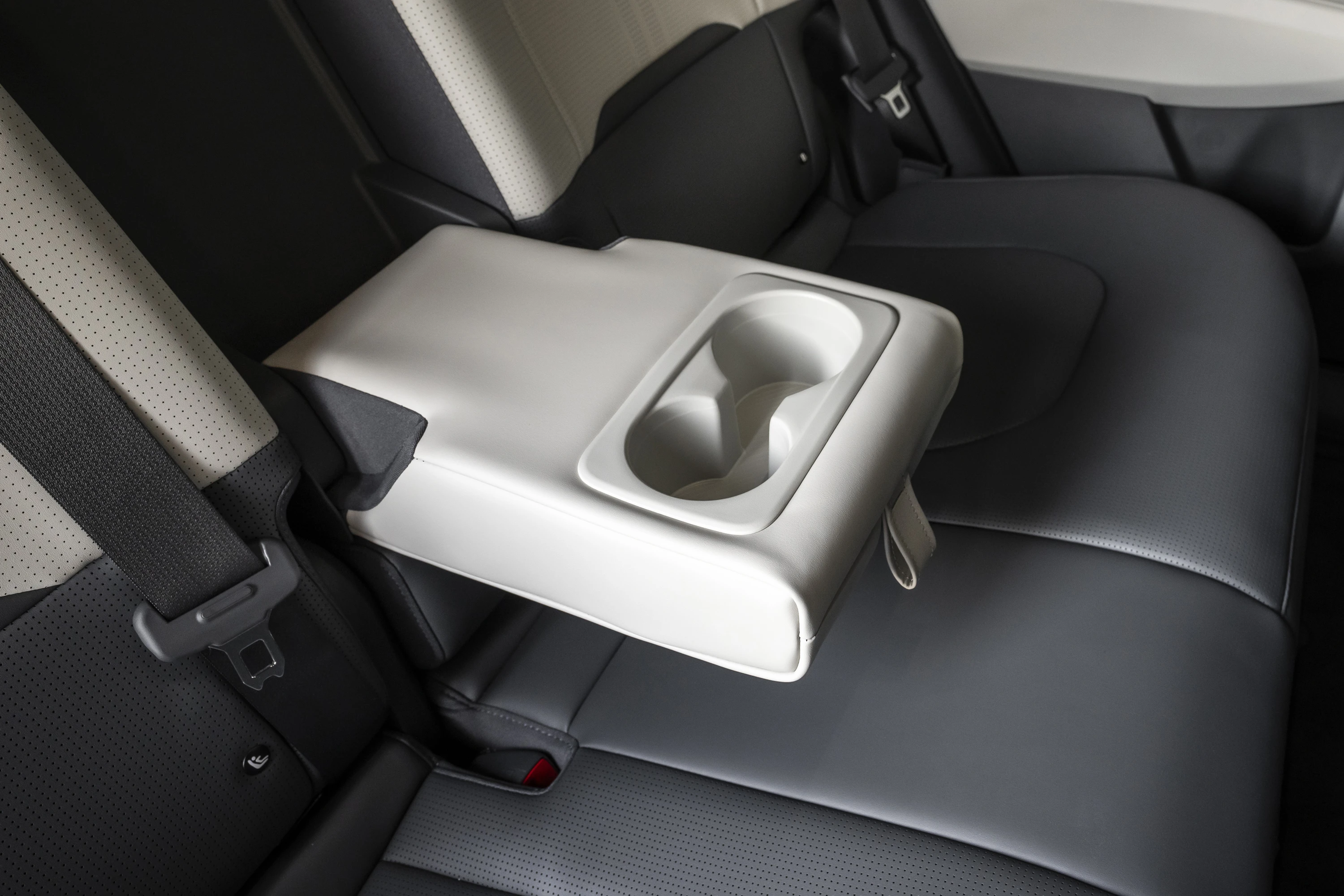 Kia EV3 Long Range AWD details view