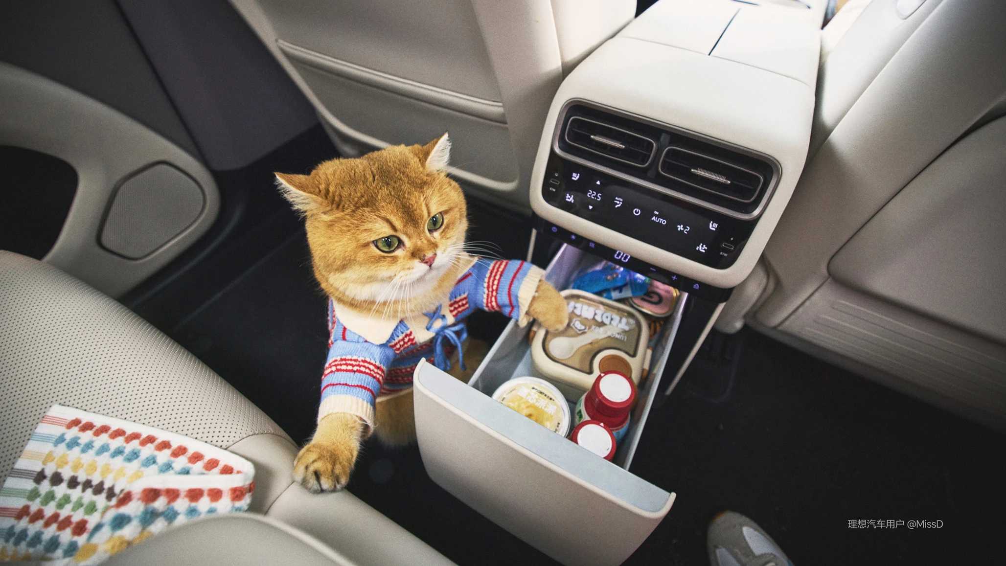 Li Auto i6 87.3 kWh AWD interiorstorage view