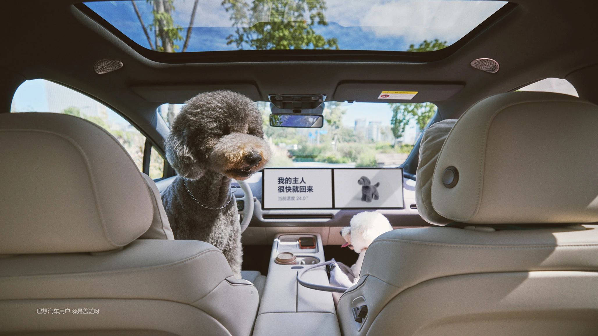 Li Auto i6 87.3 kWh RWD interior view