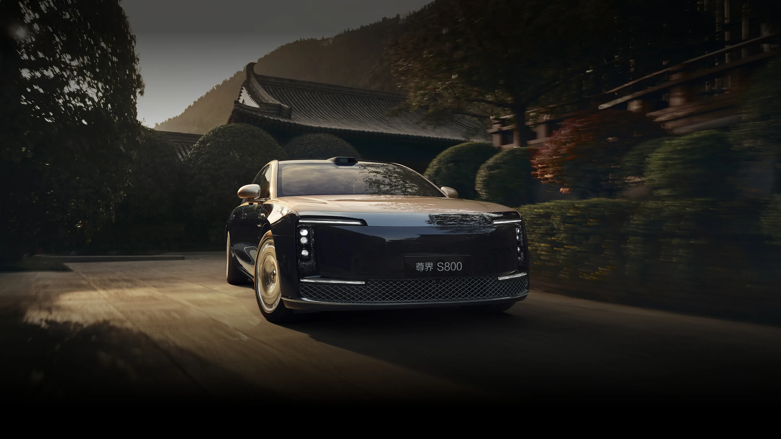 MAEXTRO S800 Executive exterior view