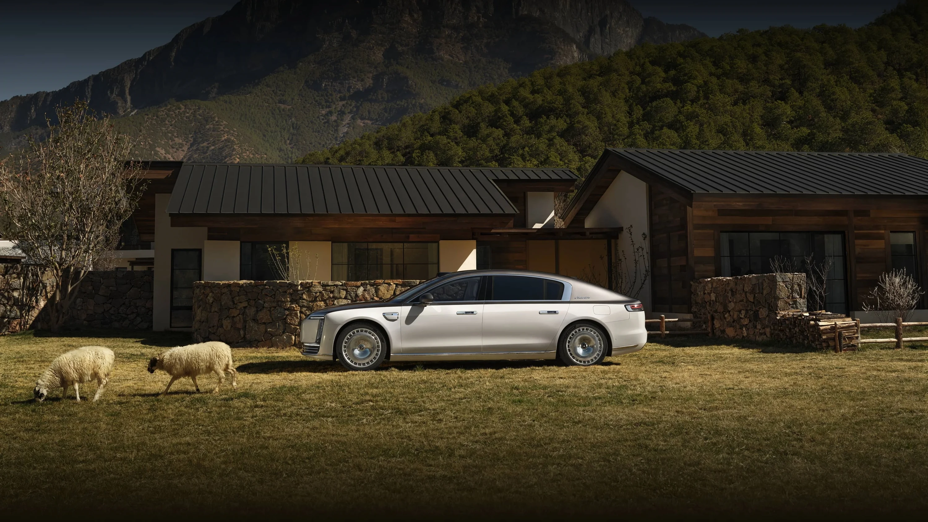 MAEXTRO S800 Premium exterior view