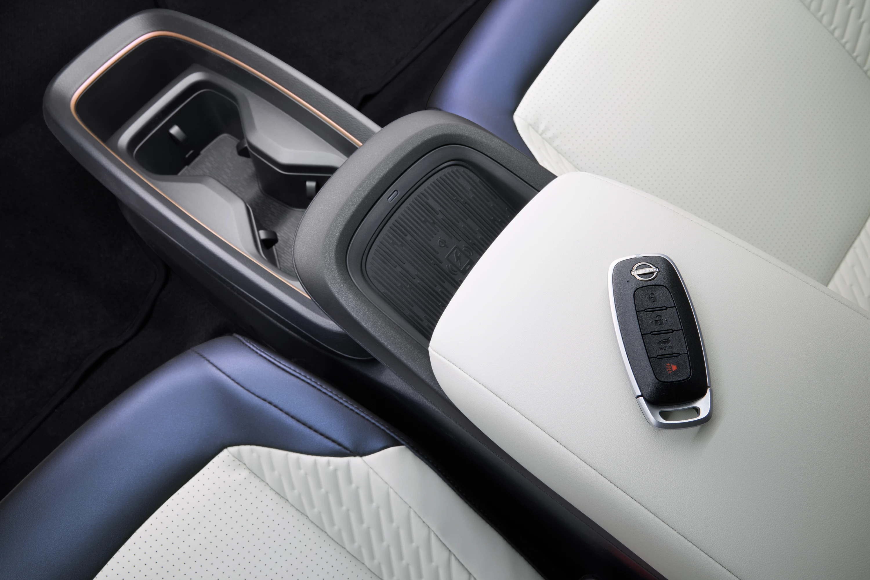 Nissan Leaf Standard Range details view