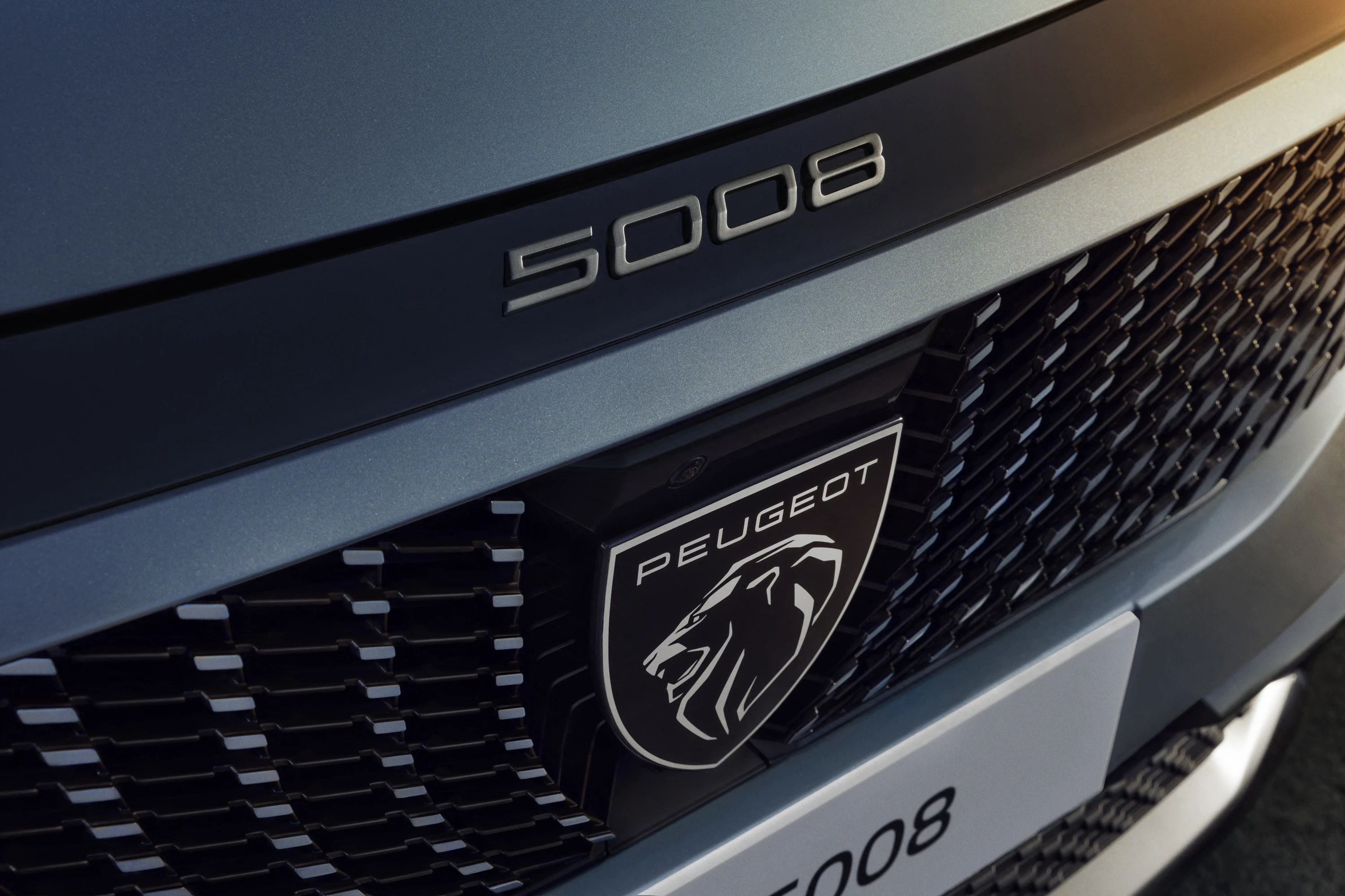 Peugeot E-5008 details view
