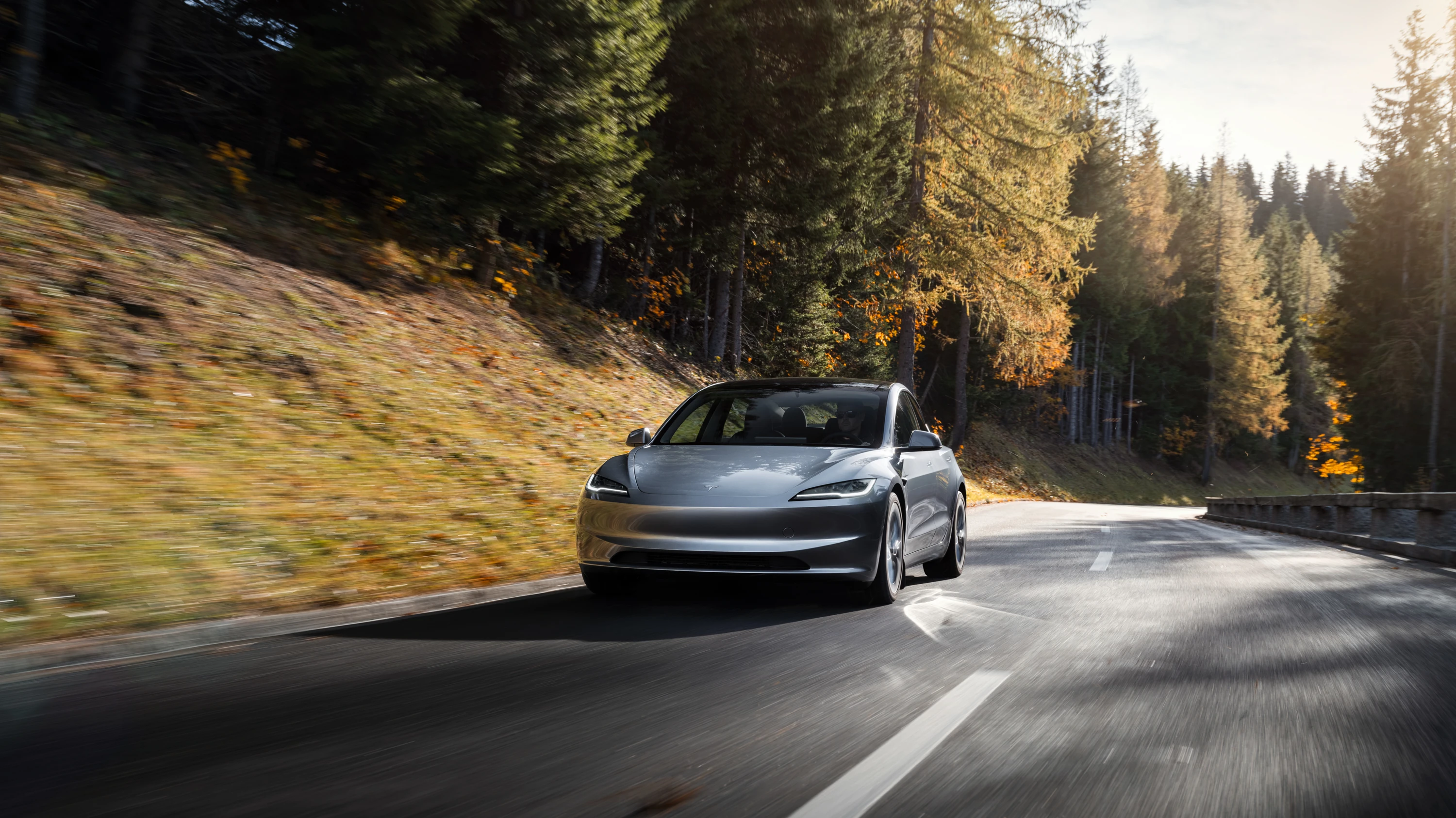 Tesla Model 3 Long Range dynamic view