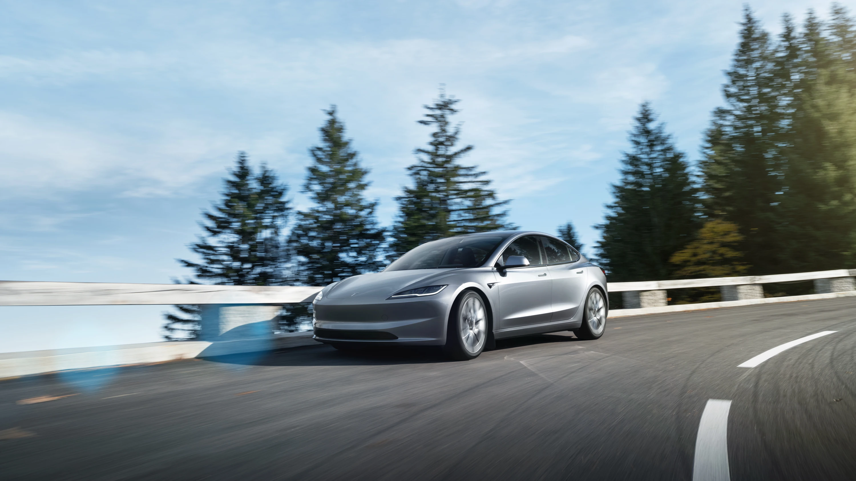 Tesla Model 3 Long Range dynamic view