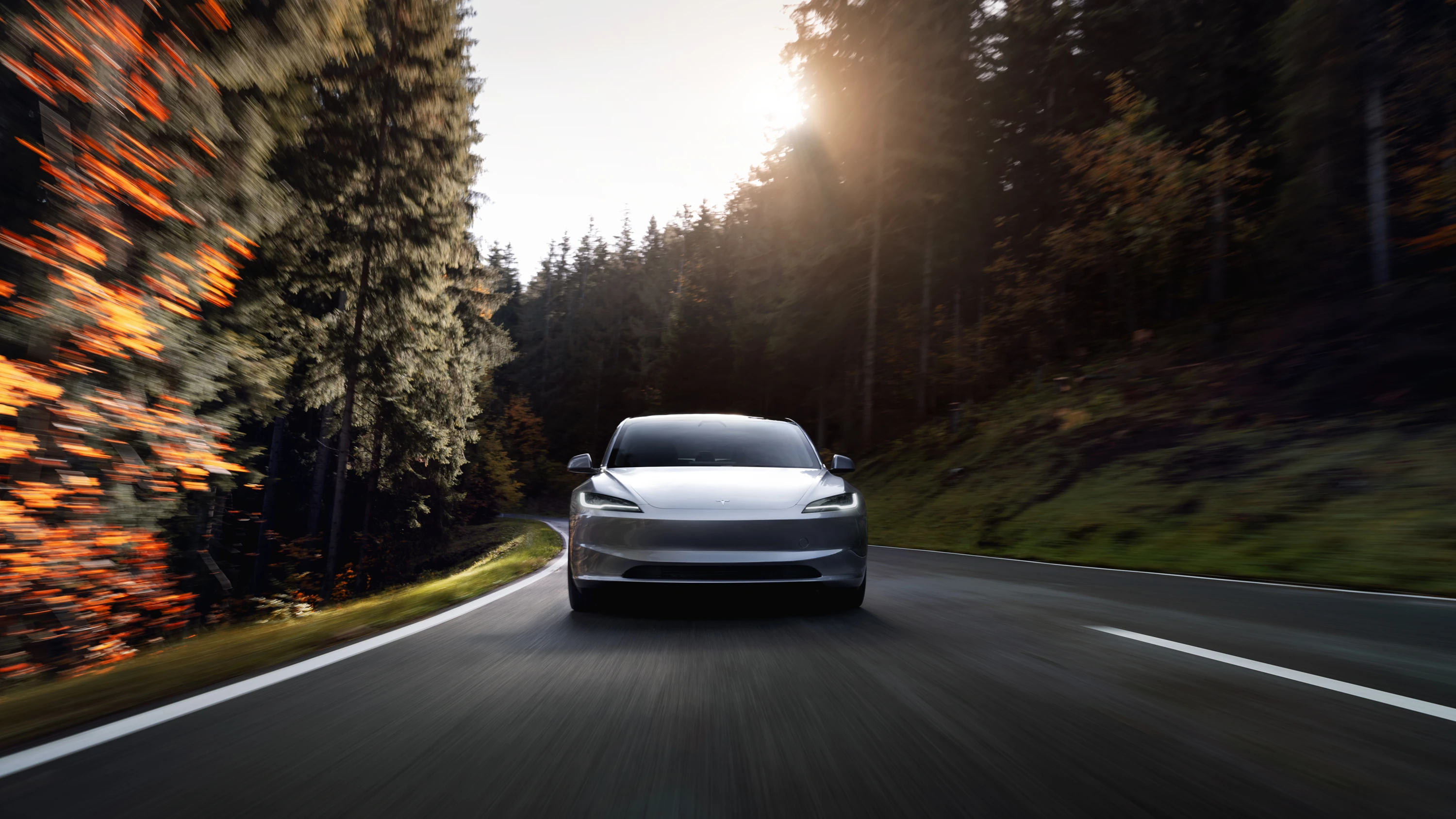 Tesla Model 3 Long Range dynamic view