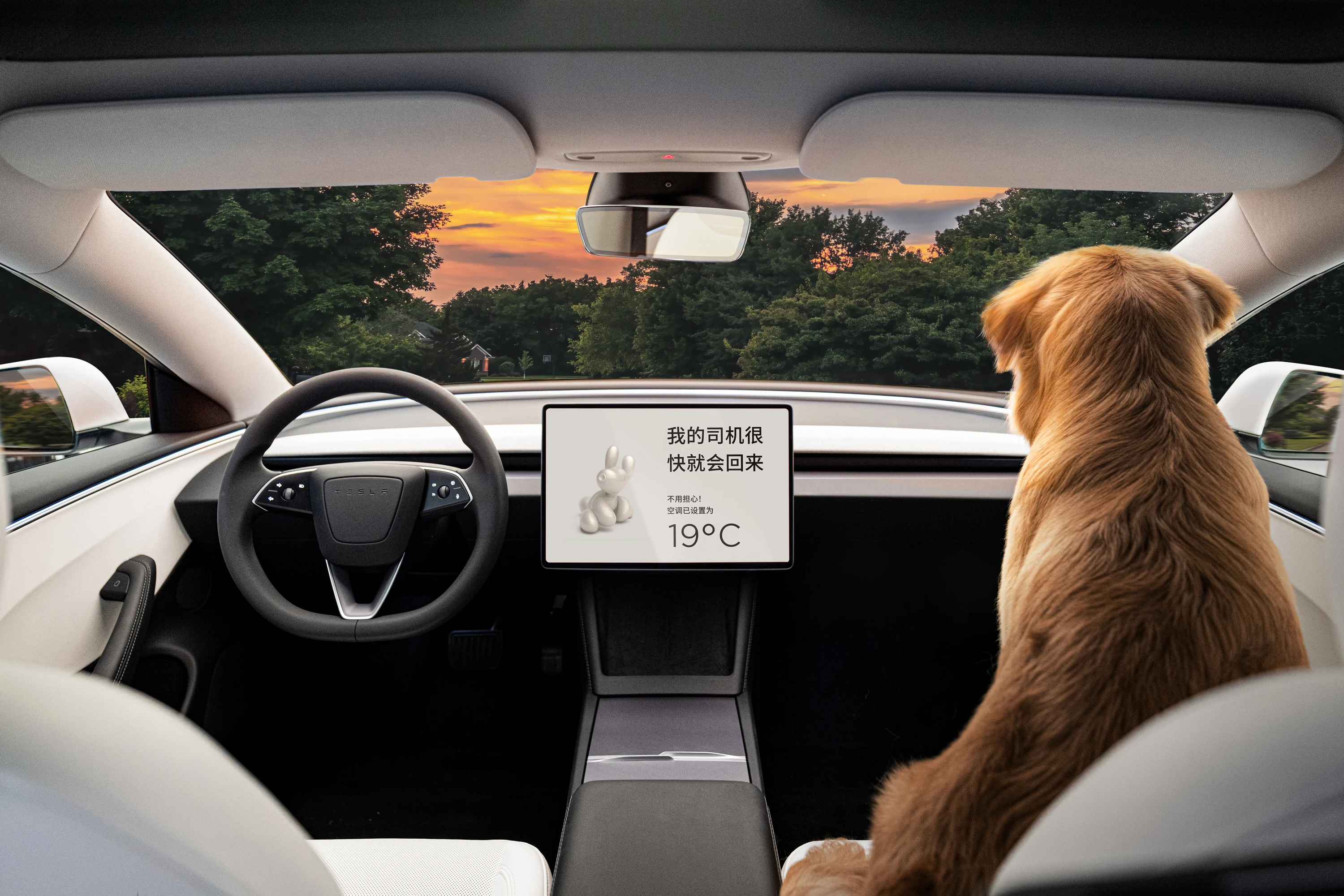 Tesla Model 3 Long Range interior view