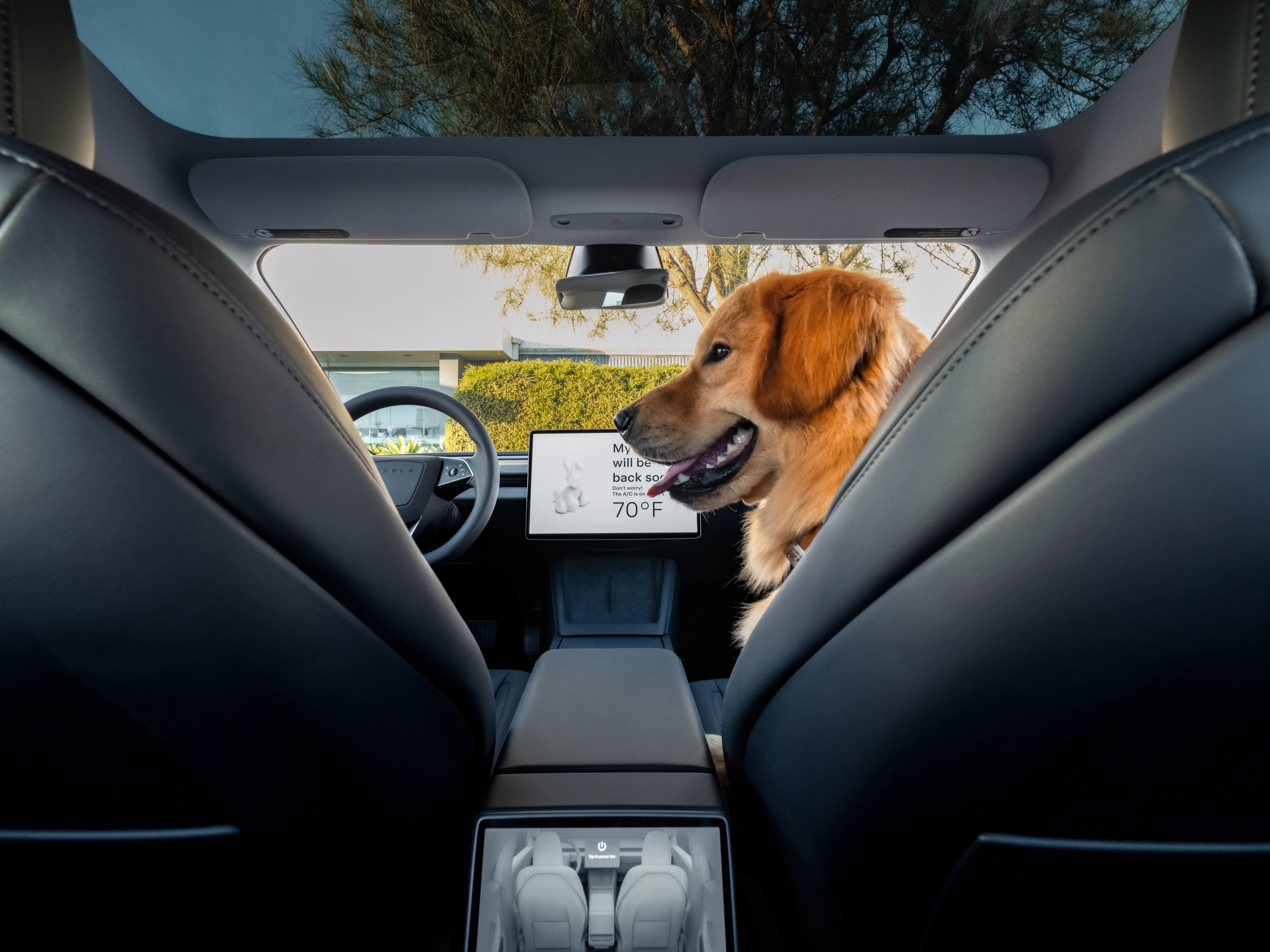 Tesla Model 3 Long Range RWD interior view