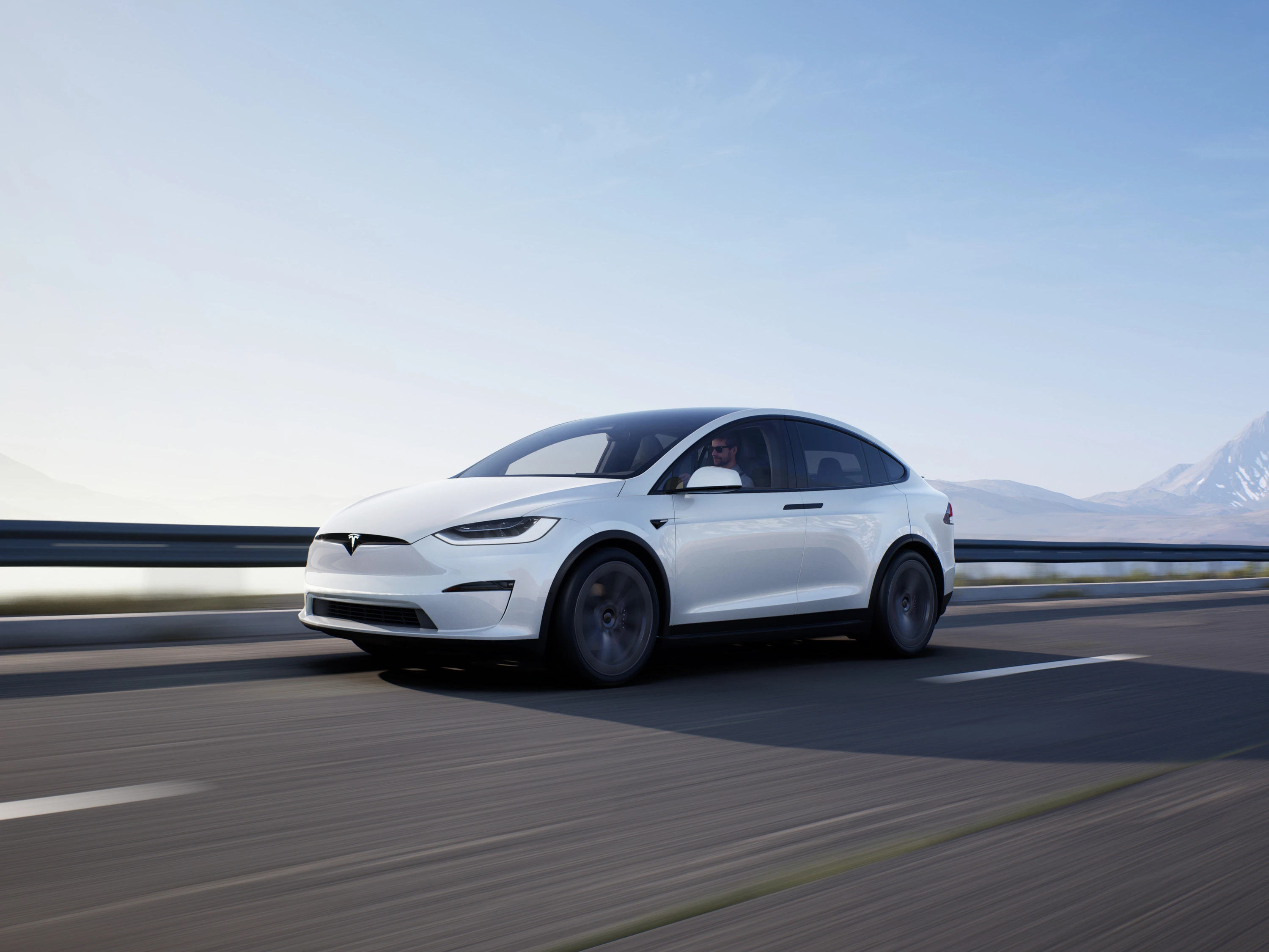 Tesla Model X Plaid exterior view
