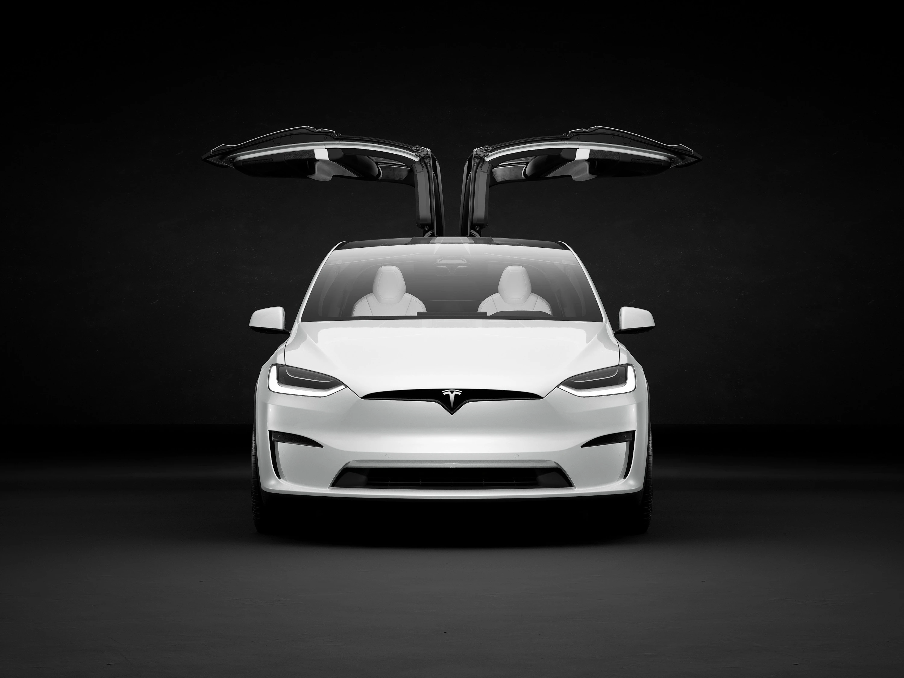 Tesla Model X Standard Range exterior view