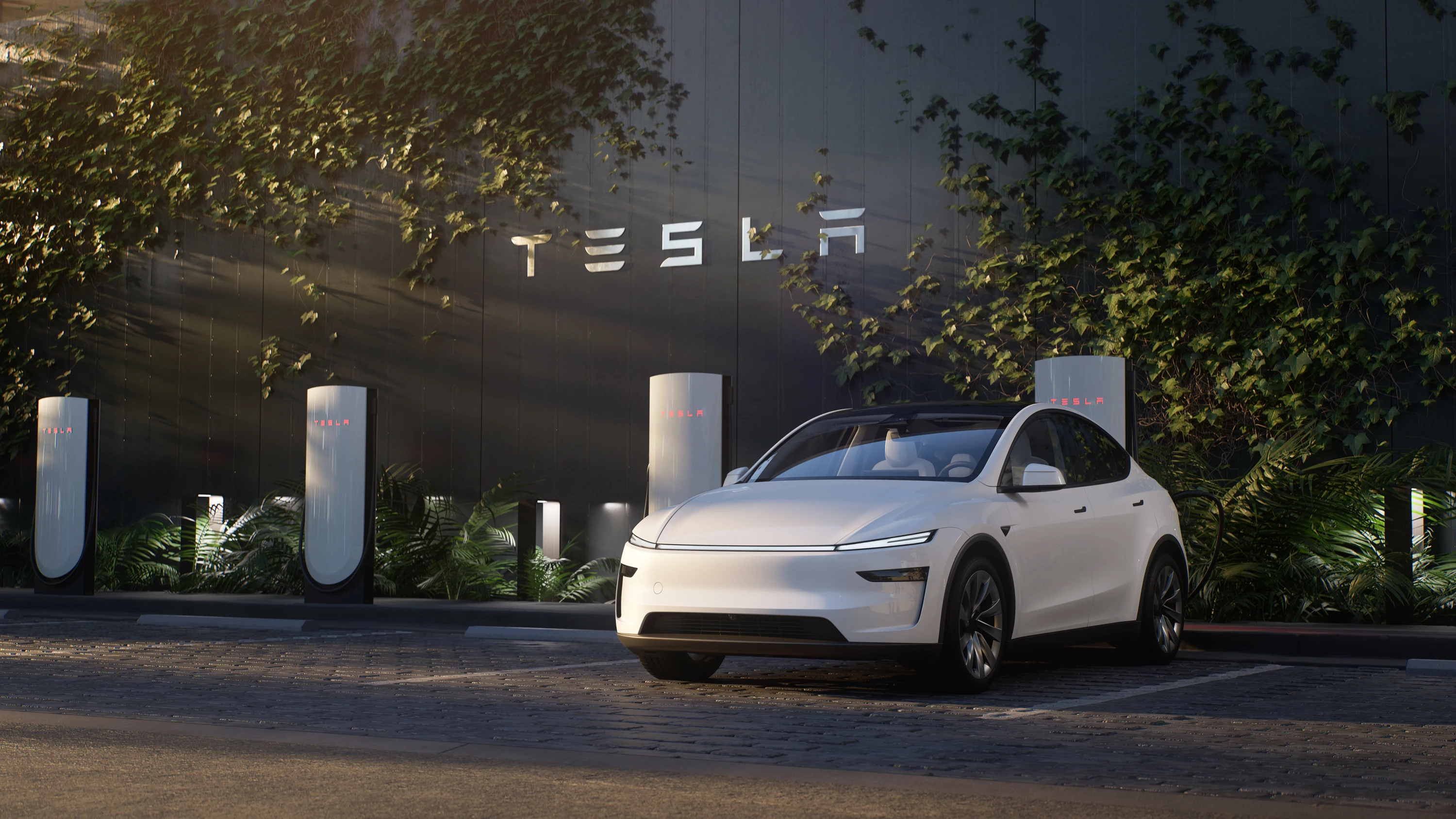 Tesla Model Y Long Range RWD main view