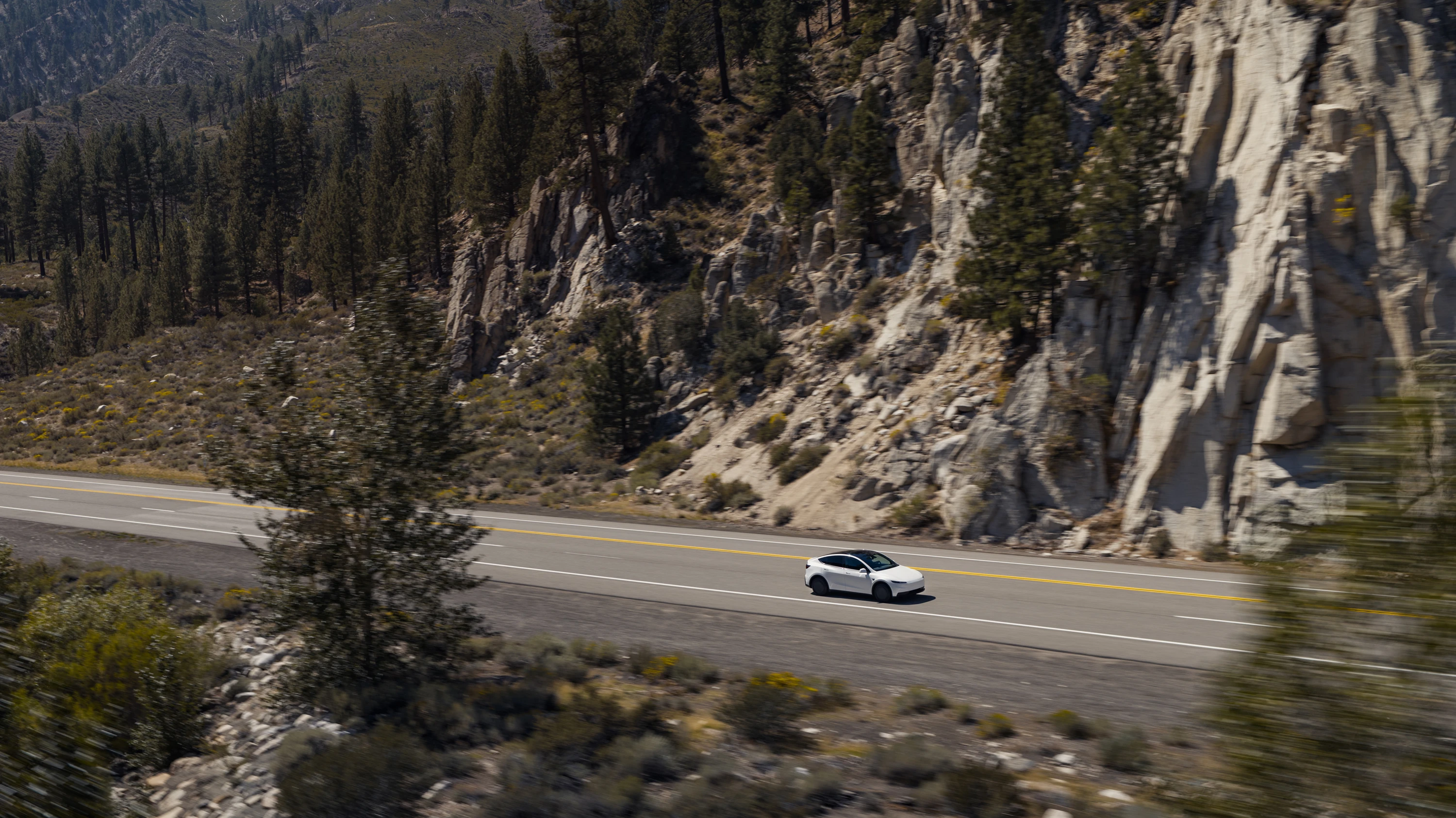 Tesla Model Y Standard Long Range RWD dynamic view
