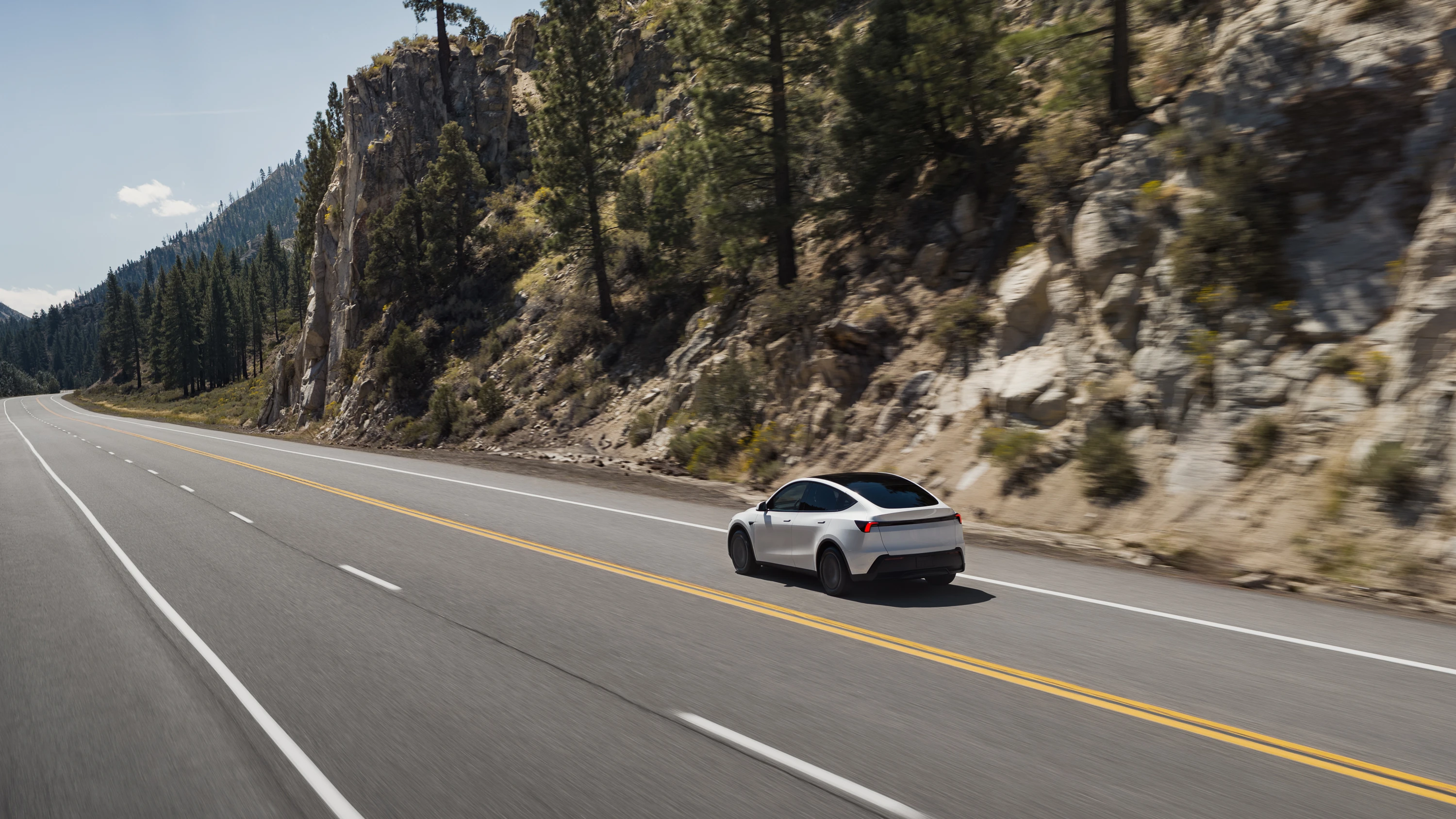 Tesla Model Y Standard Long Range RWD exterior view