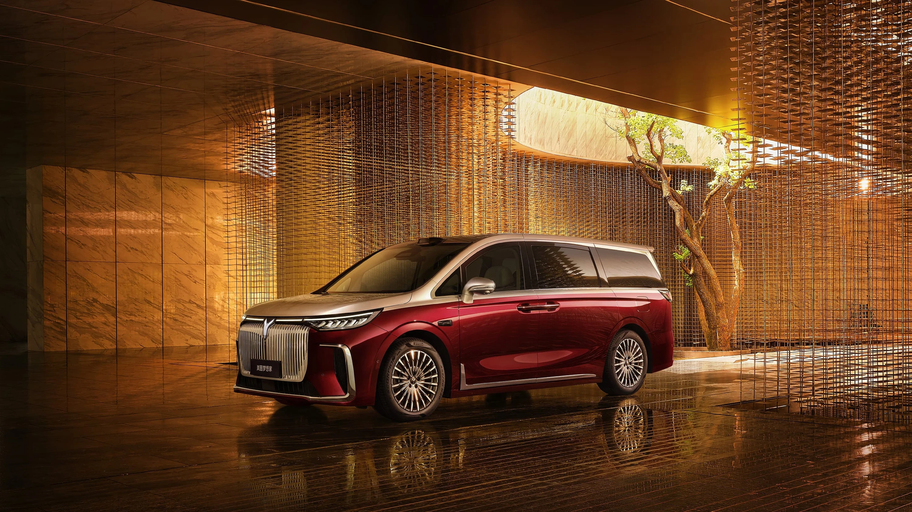 Voyah Dream Ultra Long Range Performance AWD electric vehicle exterior